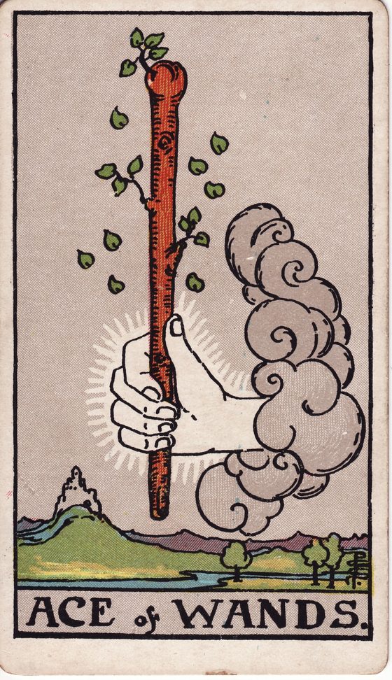 Ás de Paus — carta do tarô Rider-Waite